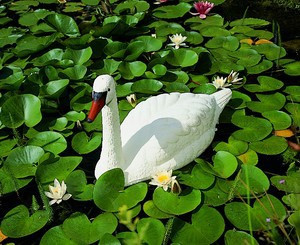 Úszó fehér hattyú, 86 cm - Élethű műanyag madárfigura