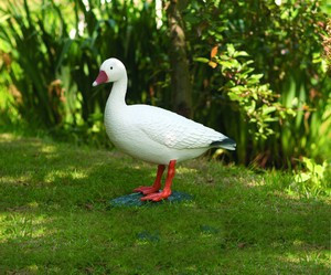 Álló liba fehér, 52 cm - Élethű műanyag madárfigura