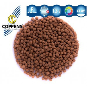 Coppens Orange növendék koi táp 6 mm ( 1 kg )