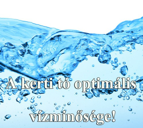 A kerti tó optimális vízminősége!