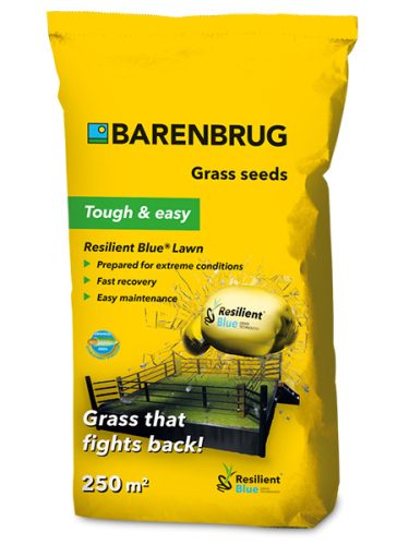 Barenbrug Resilient Blue Lawn fűmag 15kg